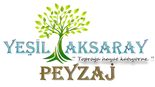 Yeşil Aksaray Peyzaj